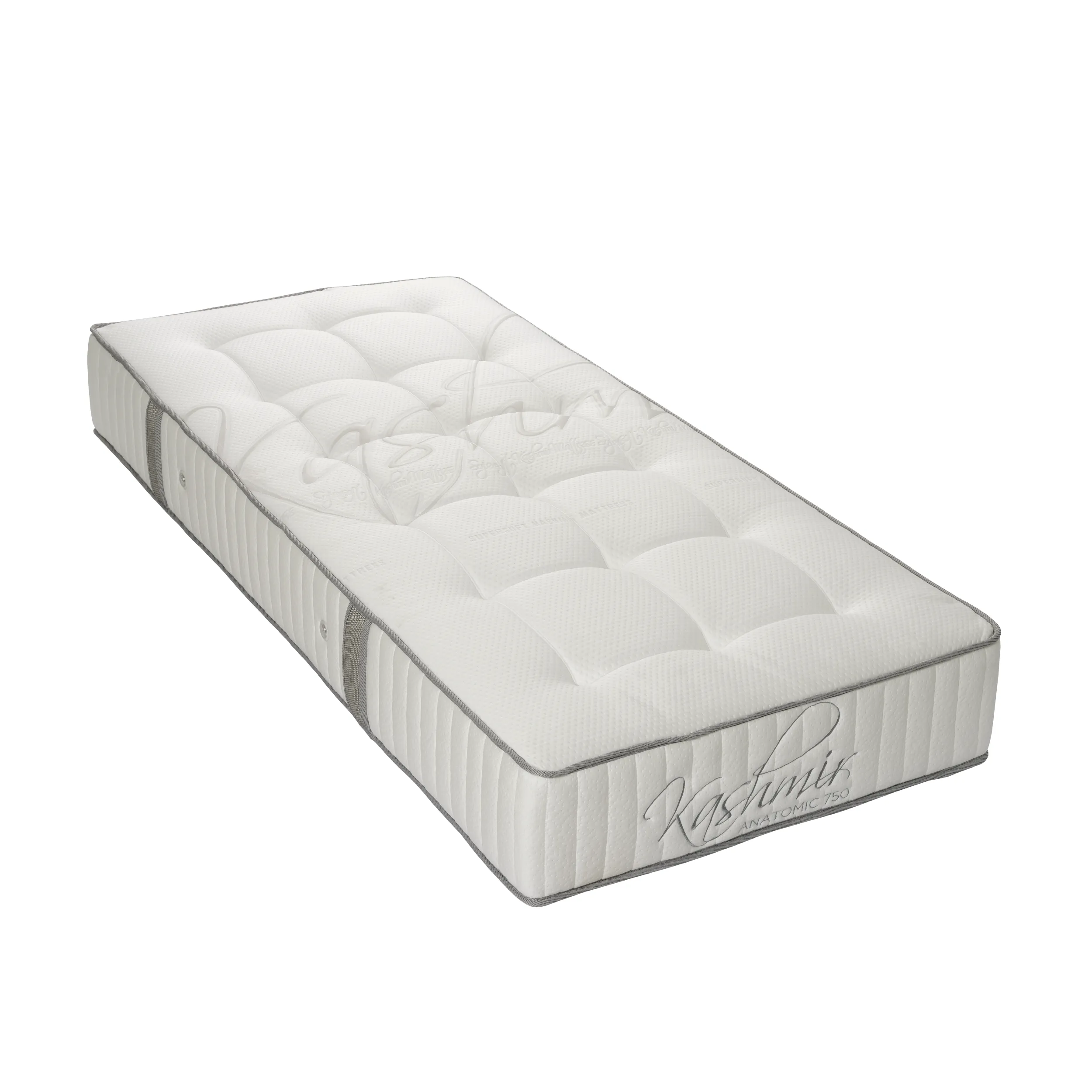 kashmir anatomic van Revor